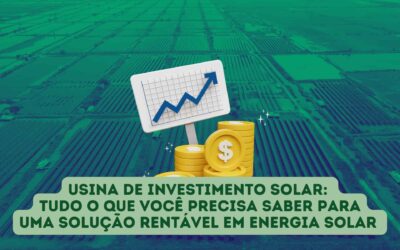 Usina de Investimento Solar: Tudo o que você precisa saber sobre uma Solução Rentável em Energia Solar